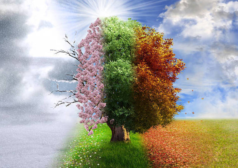 Embracing Every Season