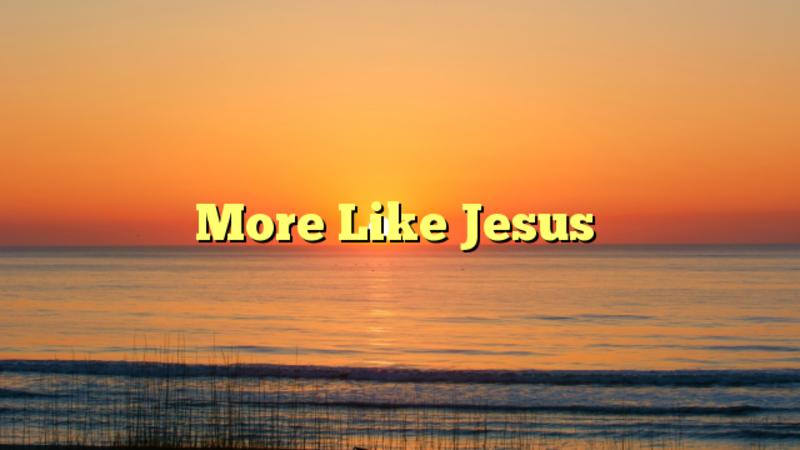 More like Jesus
