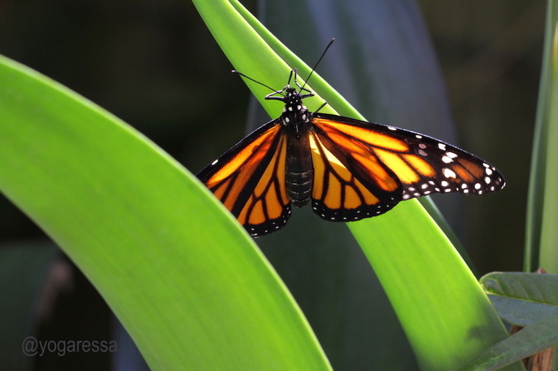 Transformation of the Thought Life